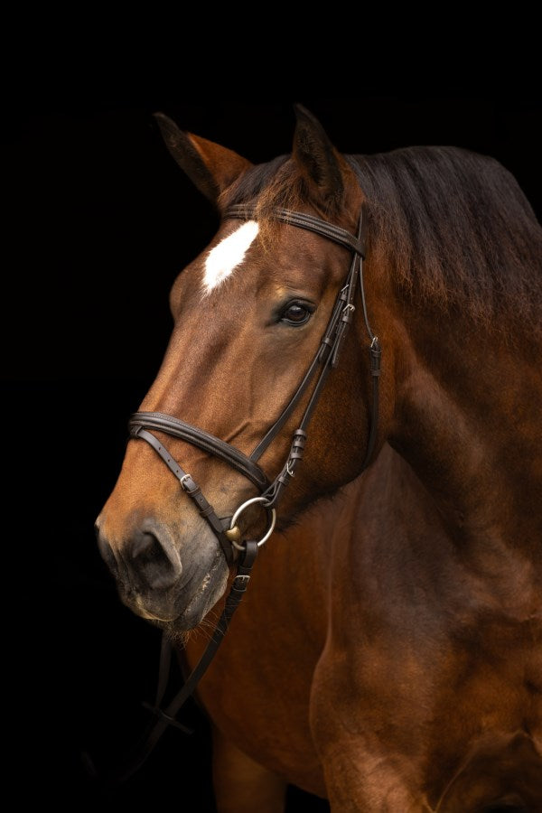 Bridon pour cheval de trait - Kerbl