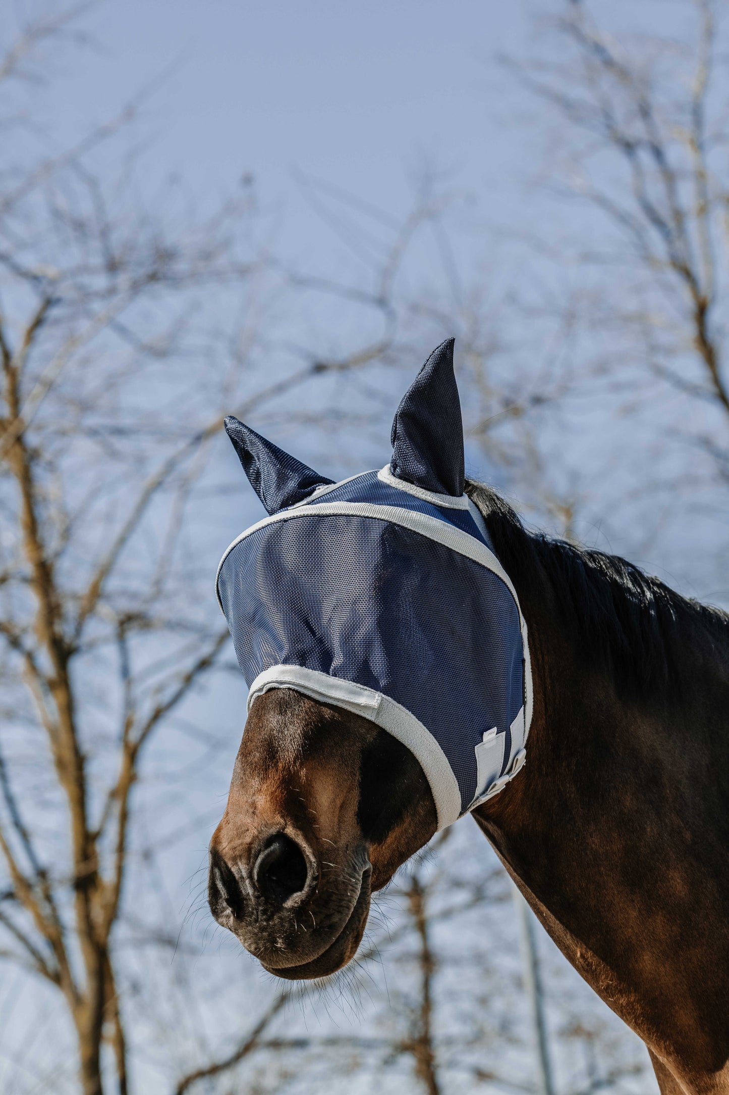 Masque anti-mouches anti-UV EQUITHÈME - Cerceau
