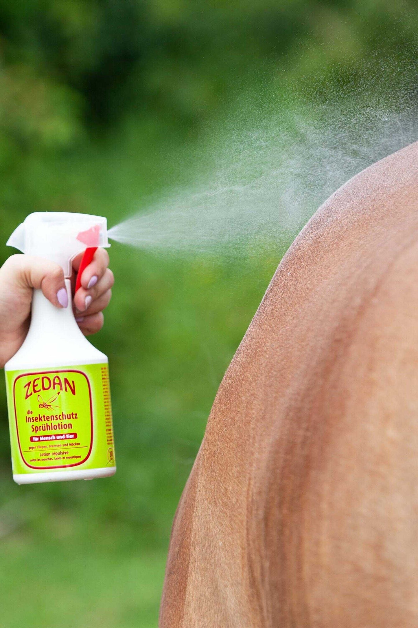 Lotion répulsive ZEDAN