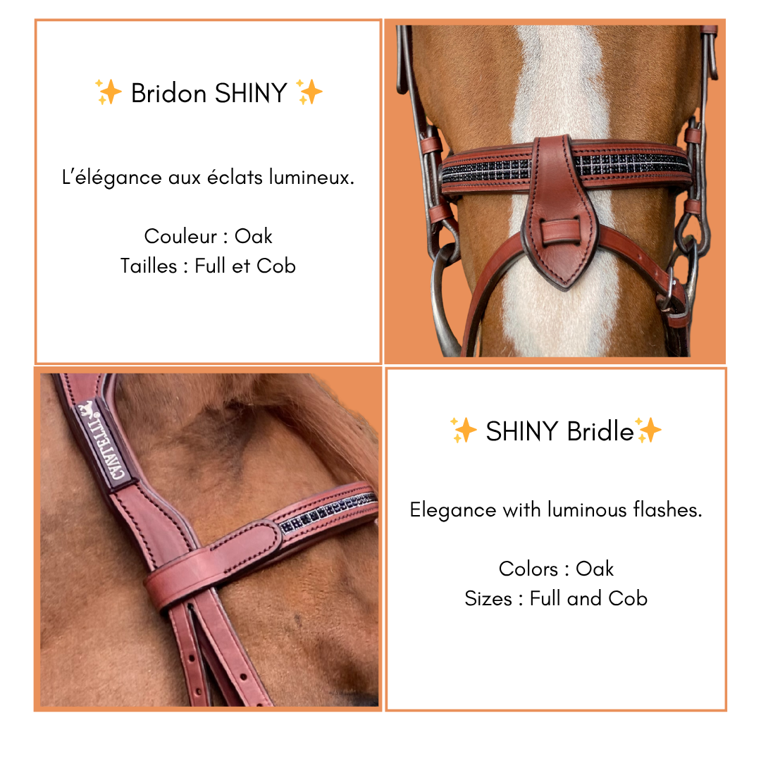 Bridon Shiny - Cavaletti