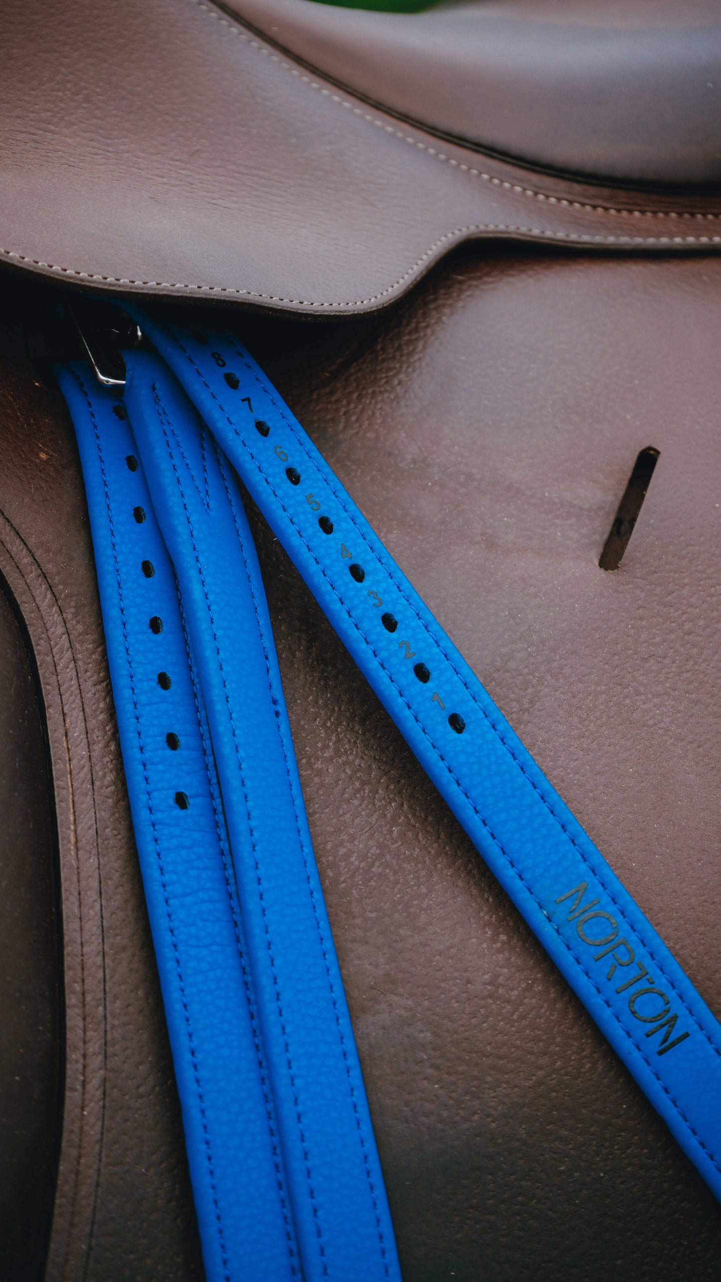 Étrivières Pop - NORTON