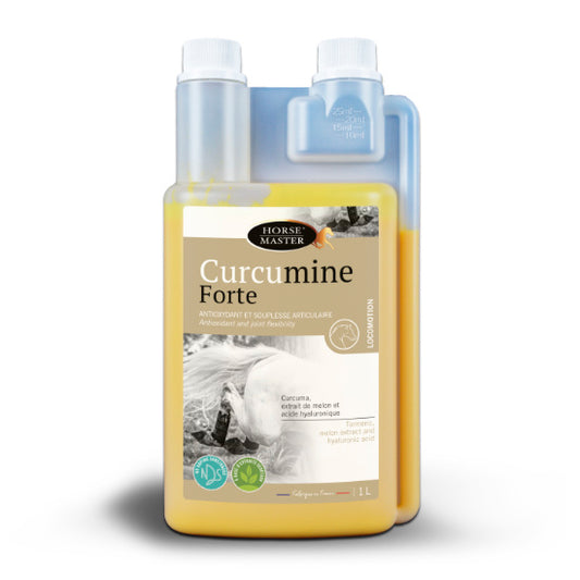 Curcumine Forte