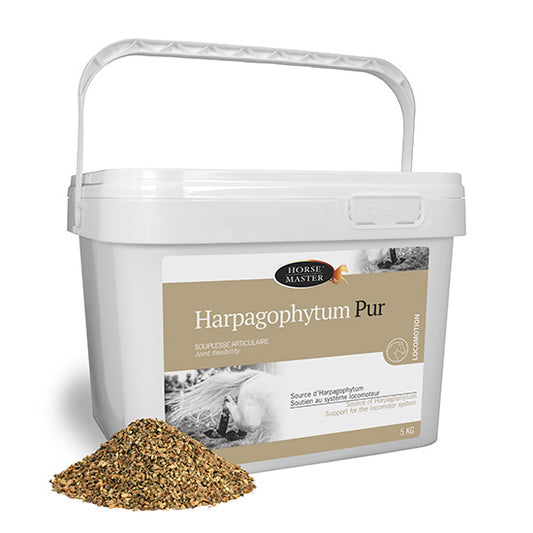 Harpagophytum Pur