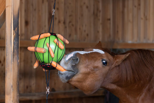 Balle à jouer pour chevaux