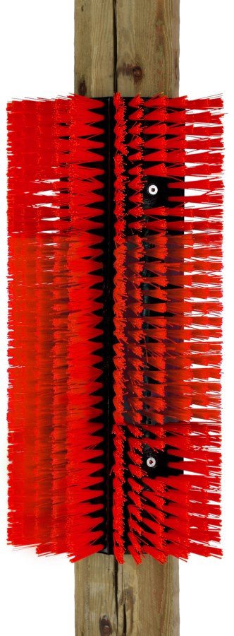 brosse de grattage polyvalente Alice