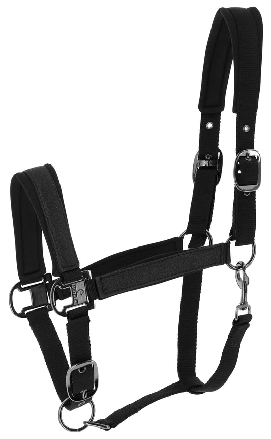 Licol Glowy - EQUITHÈME