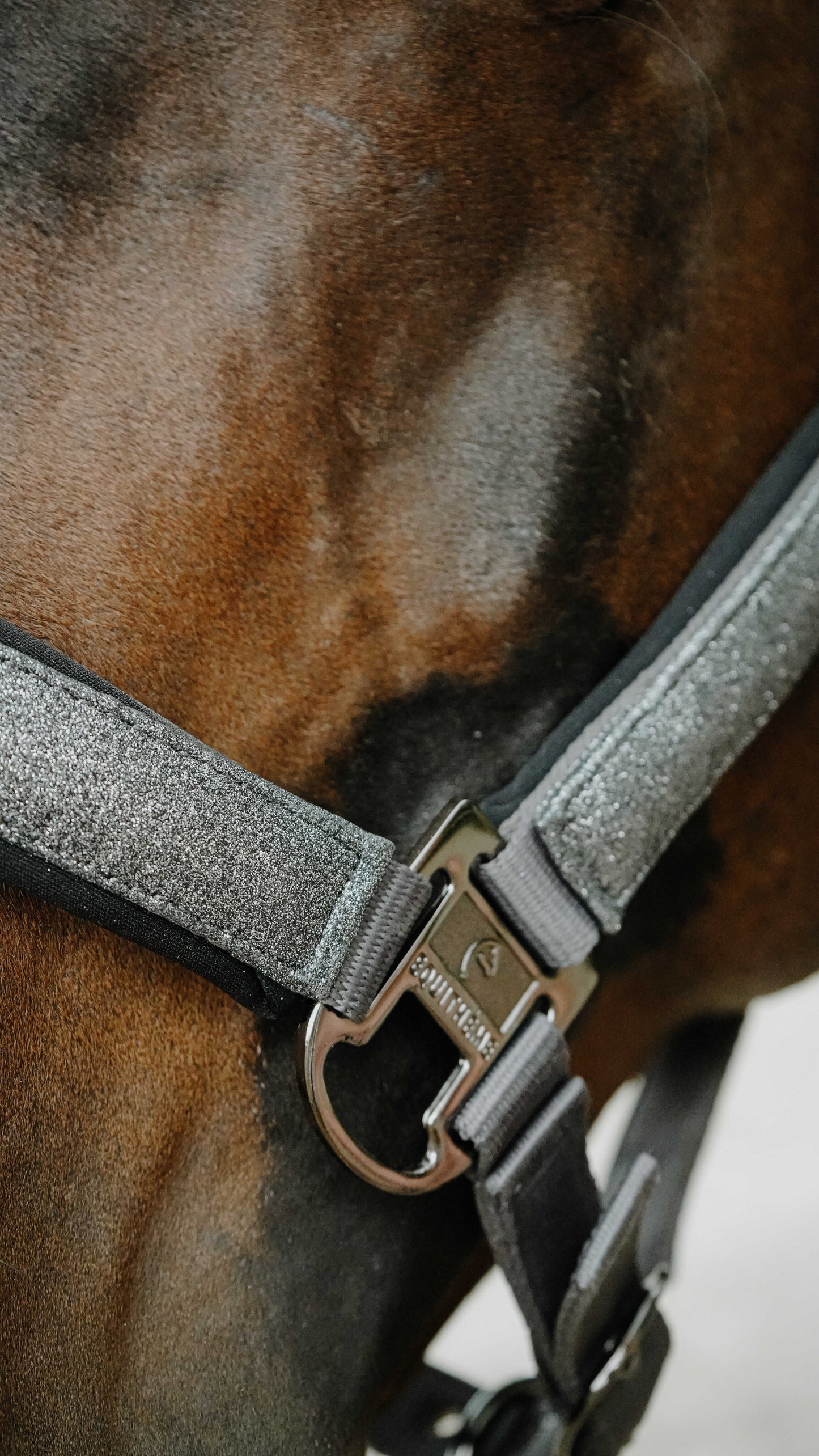 Licol Glowy - EQUITHÈME