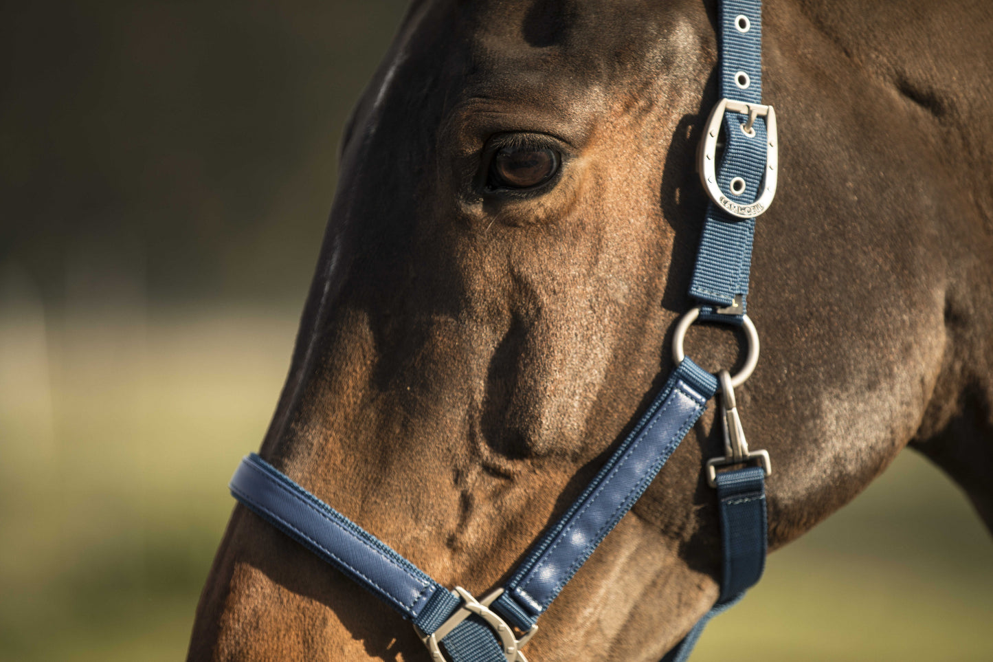 Licol LC - LAMI-CELL