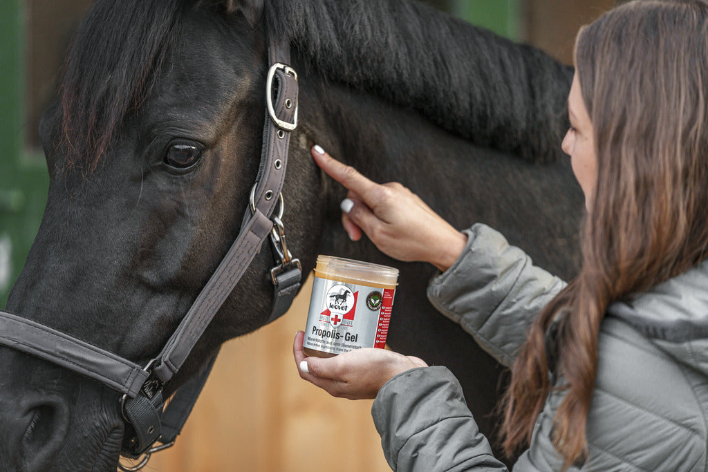 Gel propolis "FIRST AID" LEOVET