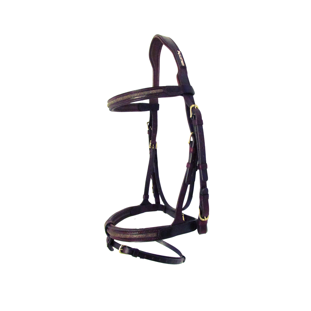 Bridon Goldy - Cavaletti