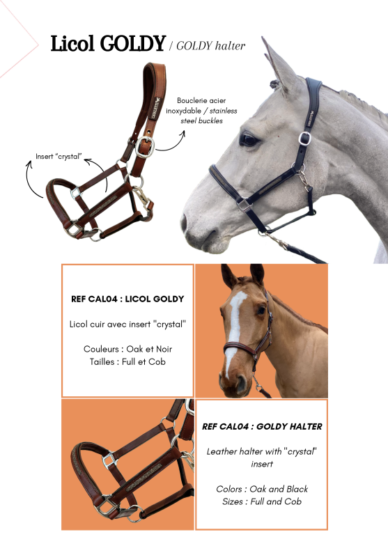 Licol Goldy - Cavaletti