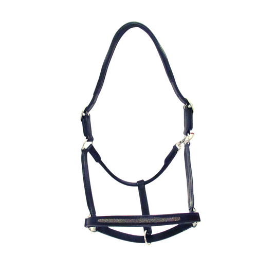 Licol Goldy - Cavaletti