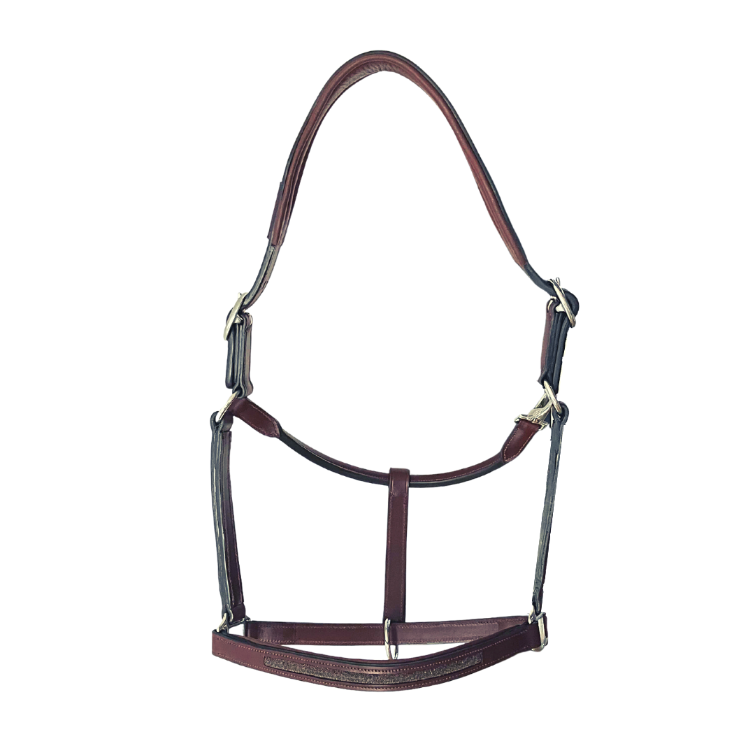 Licol Goldy - Cavaletti