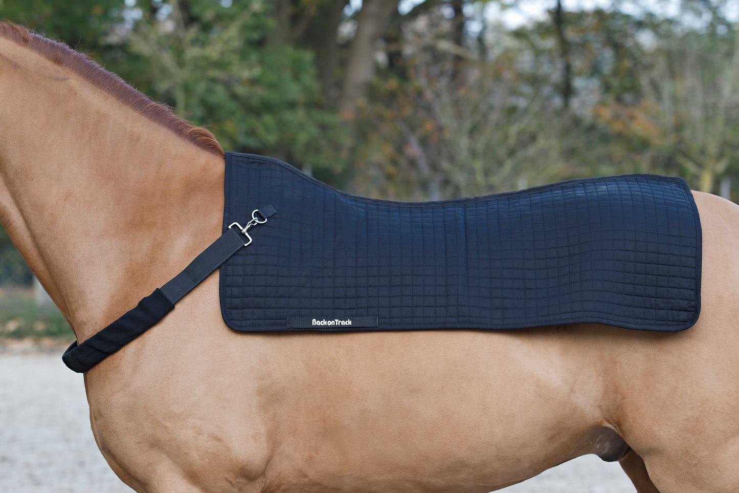 Collier pour backwarmer BACK ON TRACK®