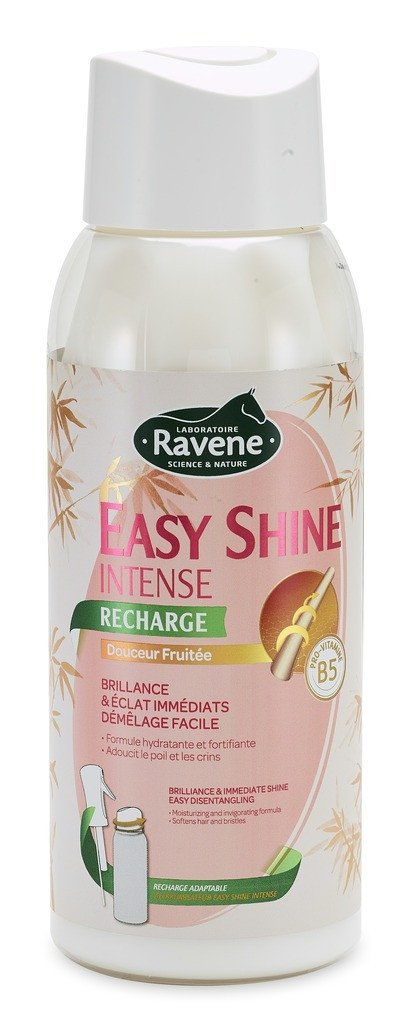 Easy Shine  INTENSE